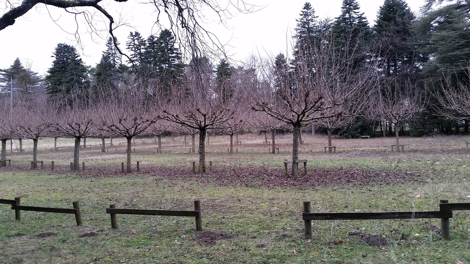 Rêve ou Réalité à Dieulefit... Oui bien sûr !!! 