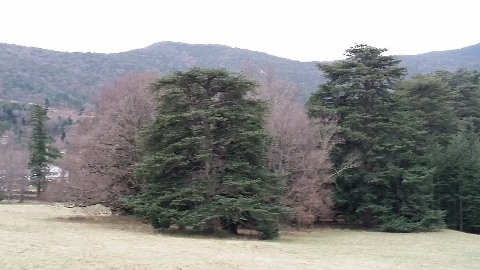 Rêve ou Réalité à Dieulefit... Oui bien sûr !!! No 018 