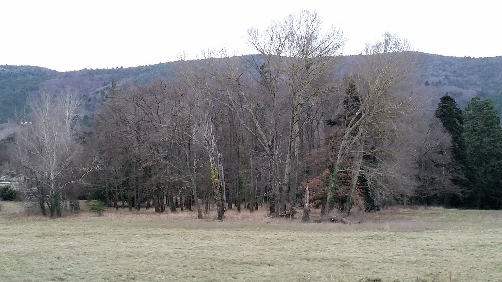 Rêve ou Réalité à Dieulefit... Oui bien sûr !!! No 020 