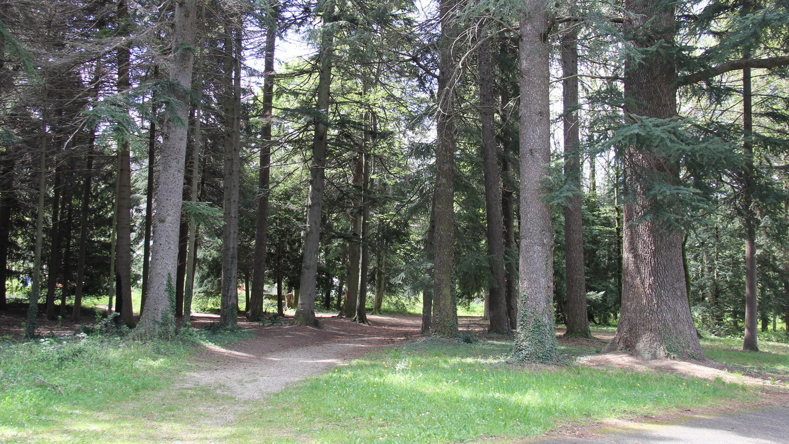 Rêve ou Réalité à Dieulefit... Oui bien sûr !!! No 041 