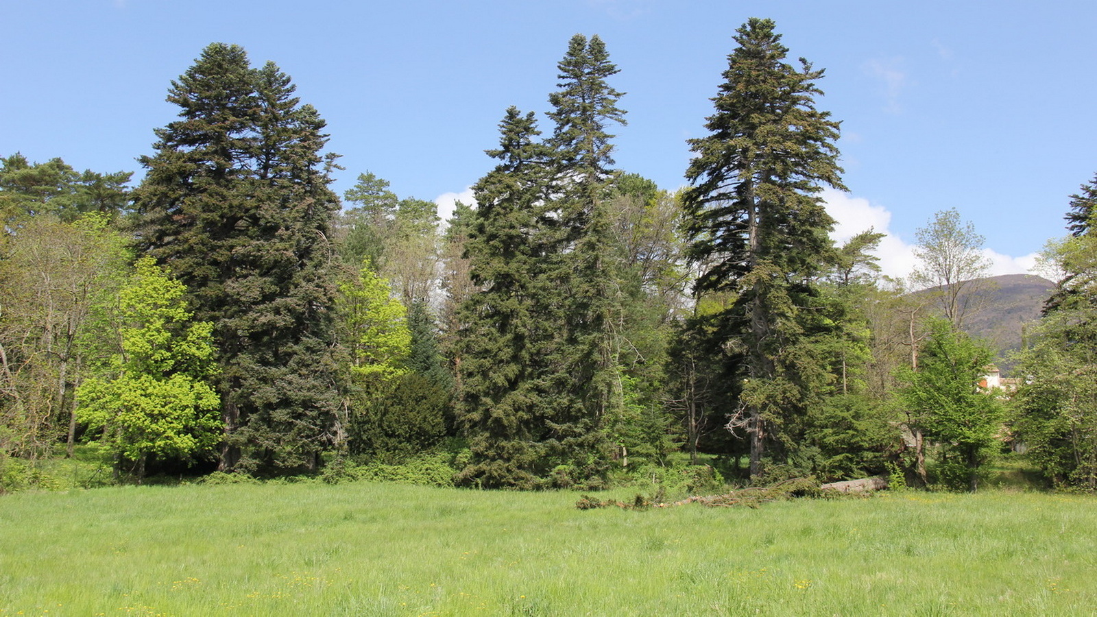 Rêve ou Réalité à Dieulefit... Oui bien sûr !!! No 043 