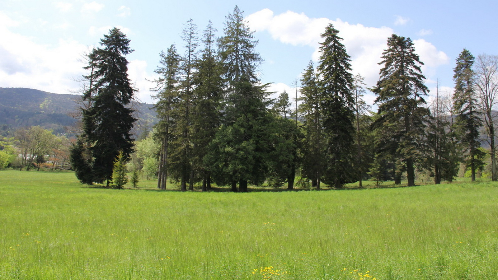 Rêve ou Réalité à Dieulefit... Oui bien sûr !!! No 045 