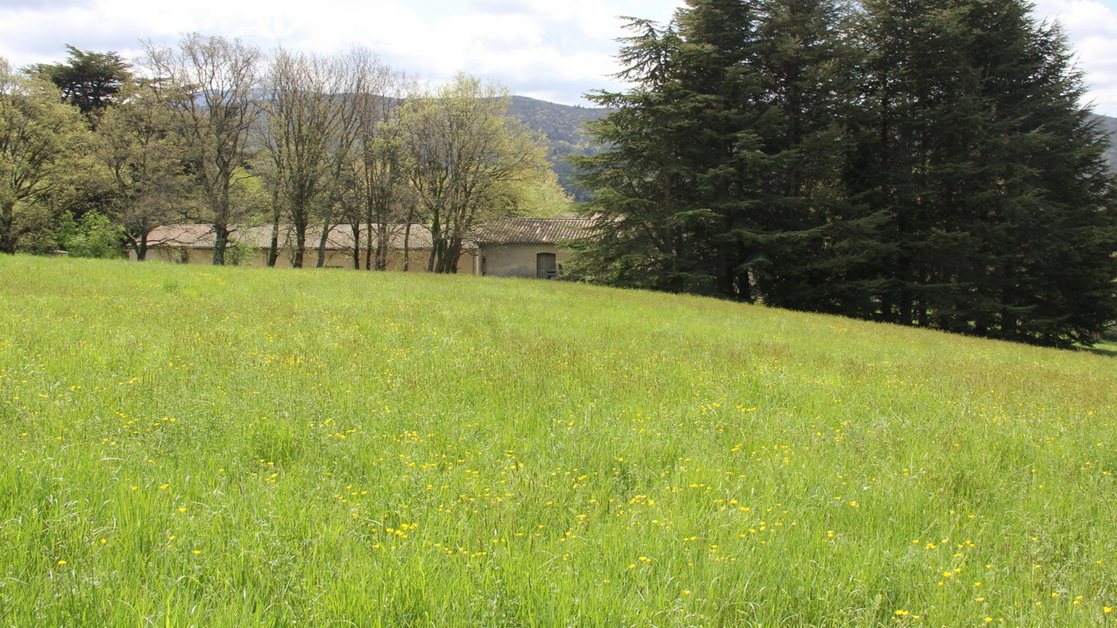 Rêve ou Réalité à Dieulefit... Oui bien sûr !!! No 071 