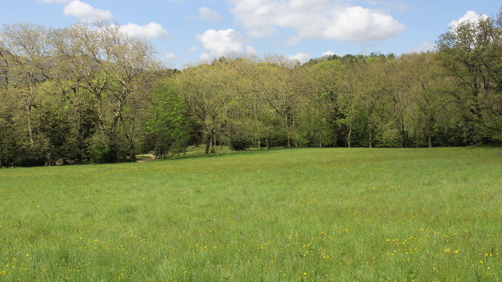 Rêve ou Réalité à Dieulefit... Oui bien sûr !!! No 072 