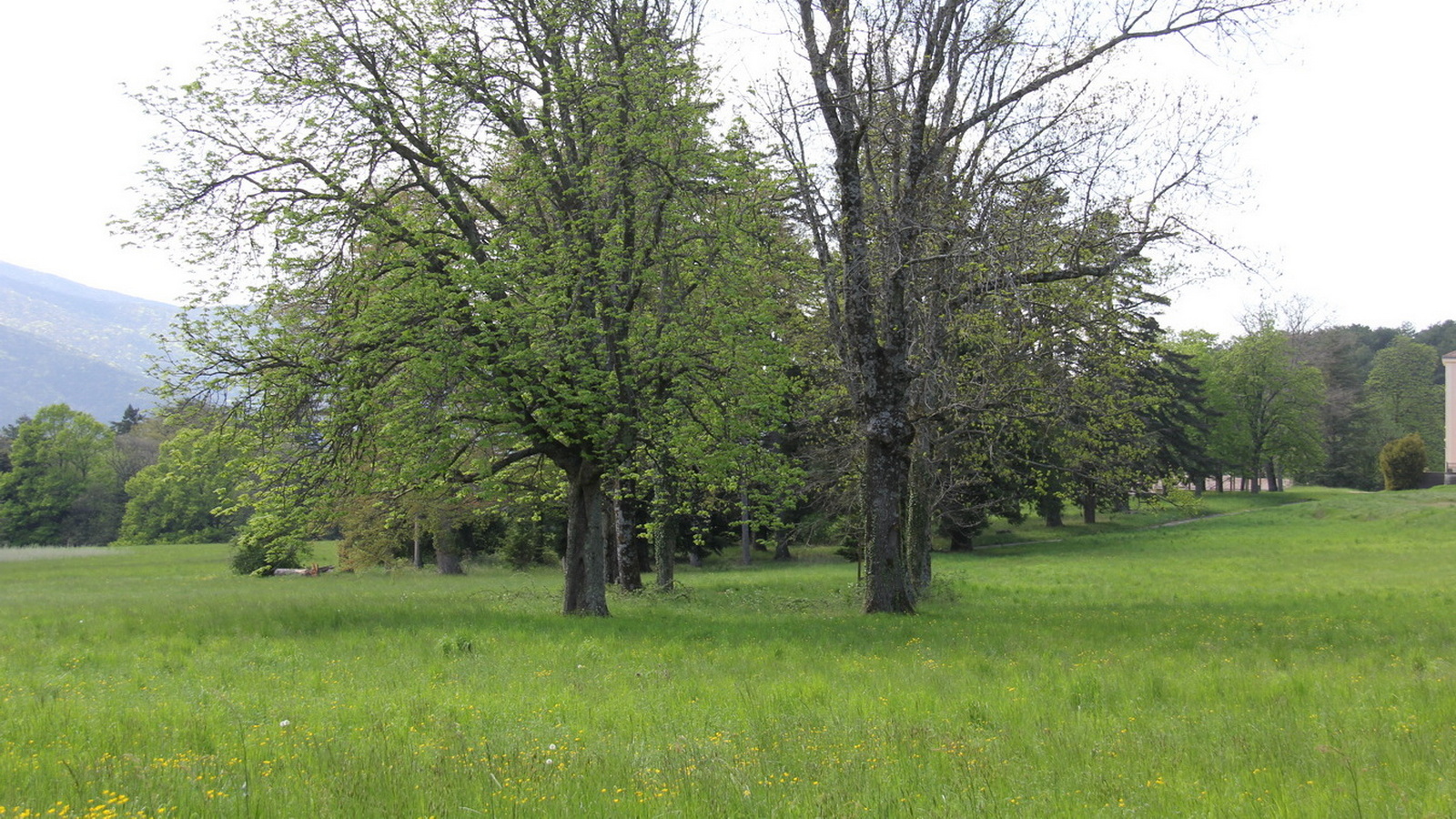 Rêve ou Réalité à Dieulefit... Oui bien sûr !!! No 084 