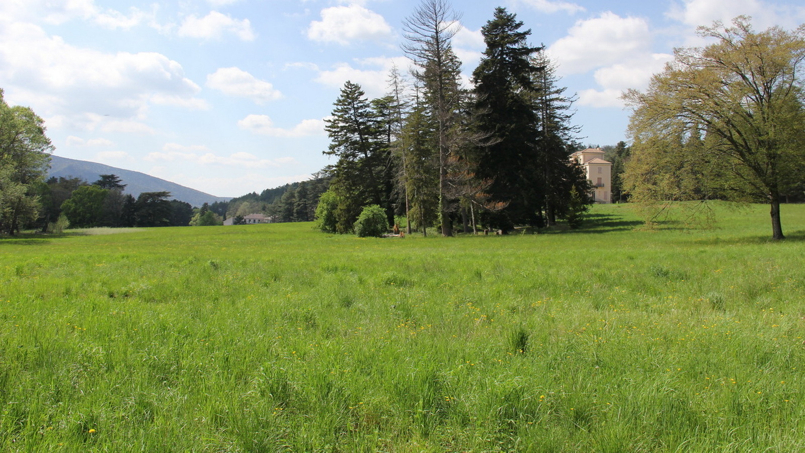 Rêve ou Réalité à Dieulefit... Oui bien sûr !!! No 087 