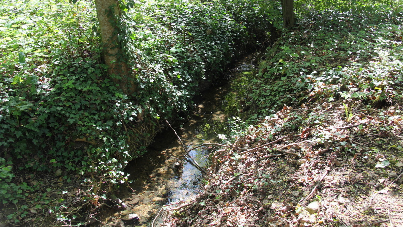 Rêve ou Réalité à Dieulefit... Oui bien sûr !!! No 0090 