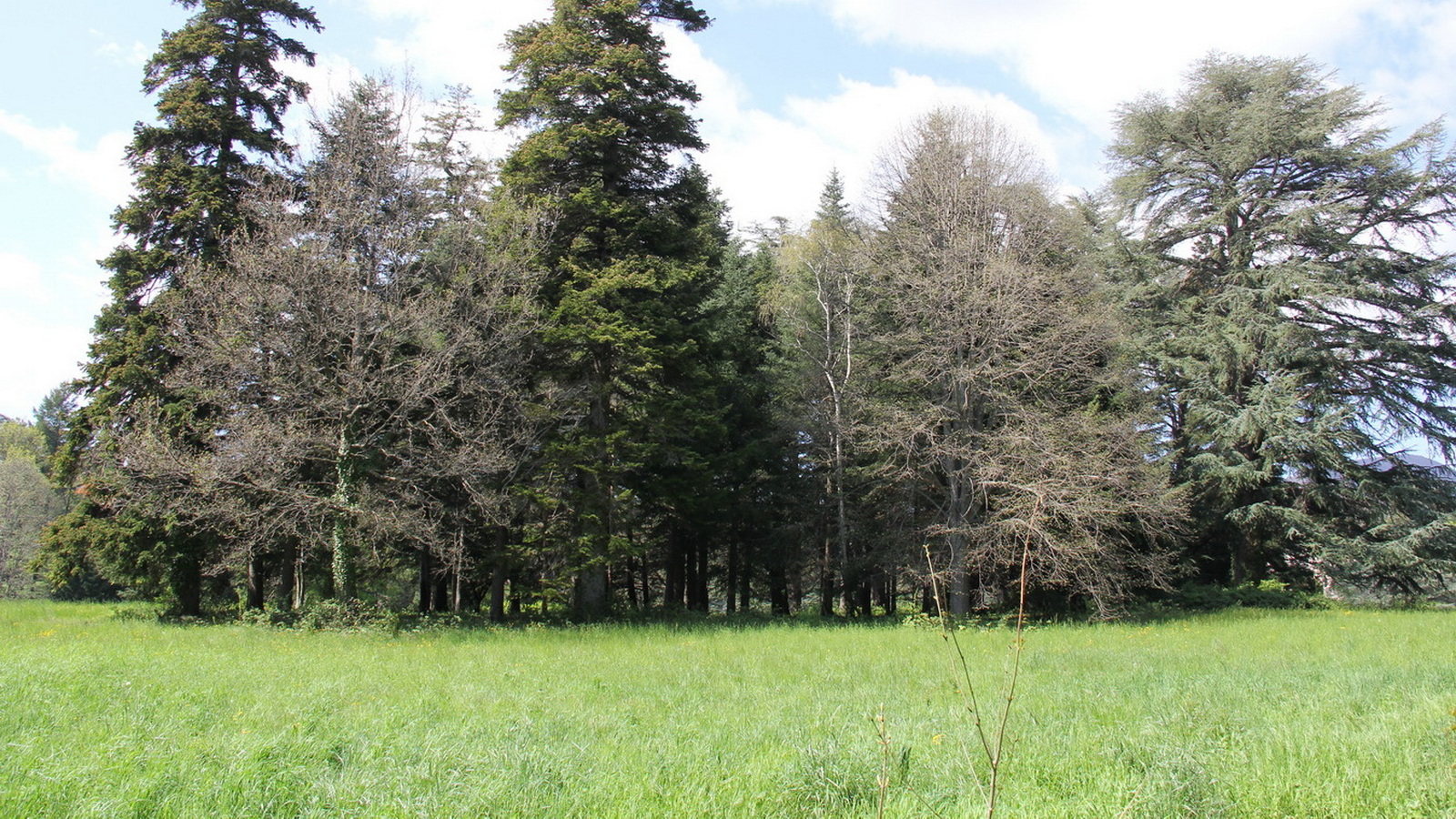 Rêve ou Réalité à Dieulefit... Oui bien sûr !!! No 091 