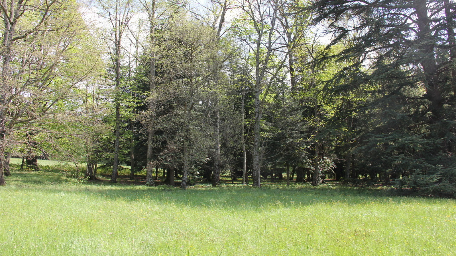 Rêve ou Réalité à Dieulefit... Oui bien sûr !!! No 098 