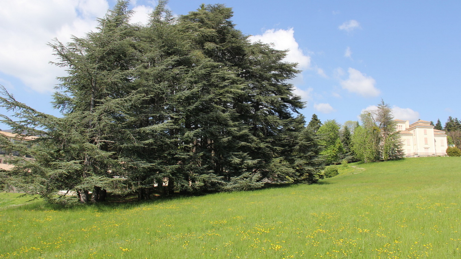 Rêve ou Réalité à Dieulefit... Oui bien sûr !!! No 101 