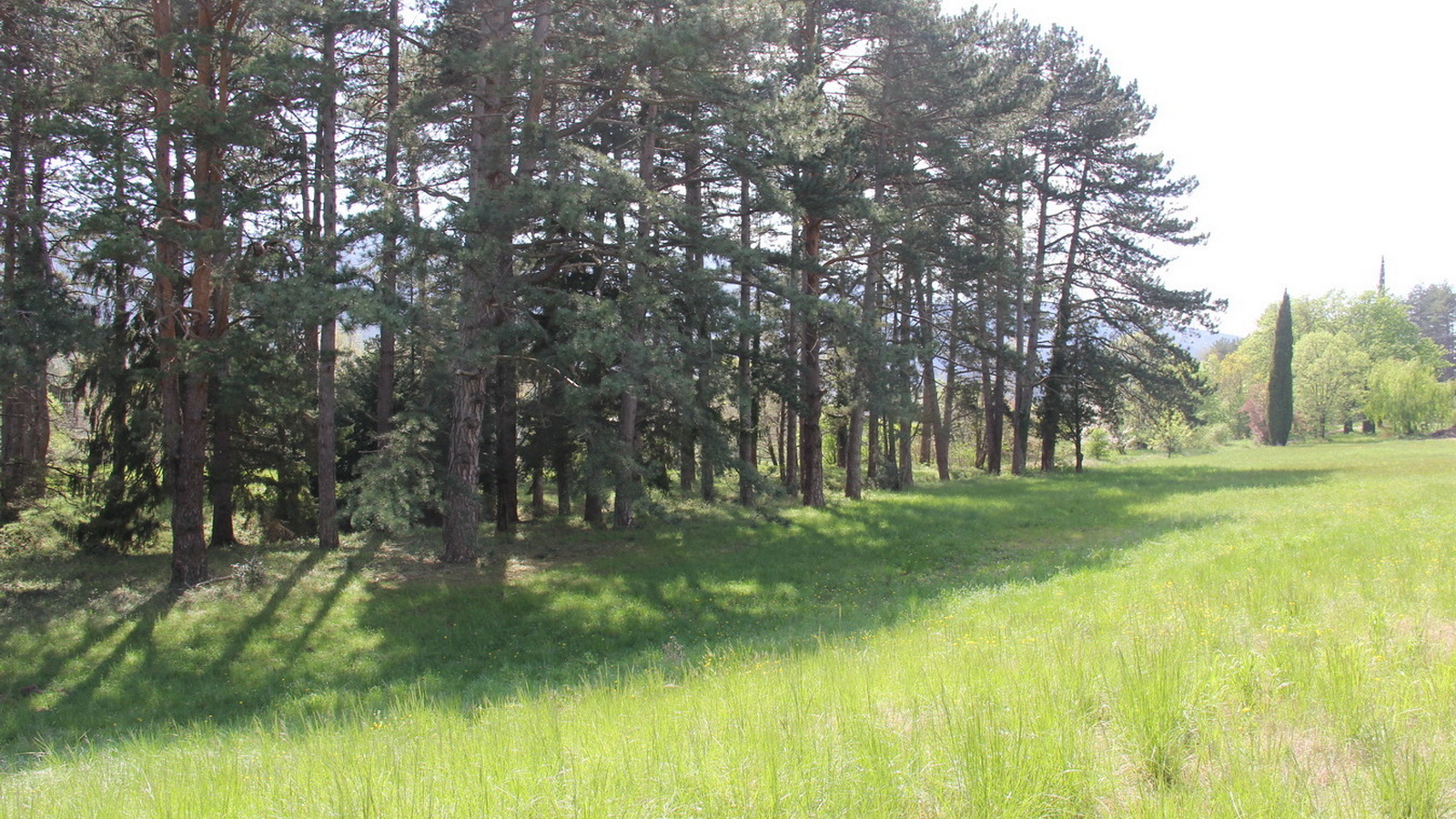 Rêve ou Réalité à Dieulefit... Oui bien sûr !!! No 1010 