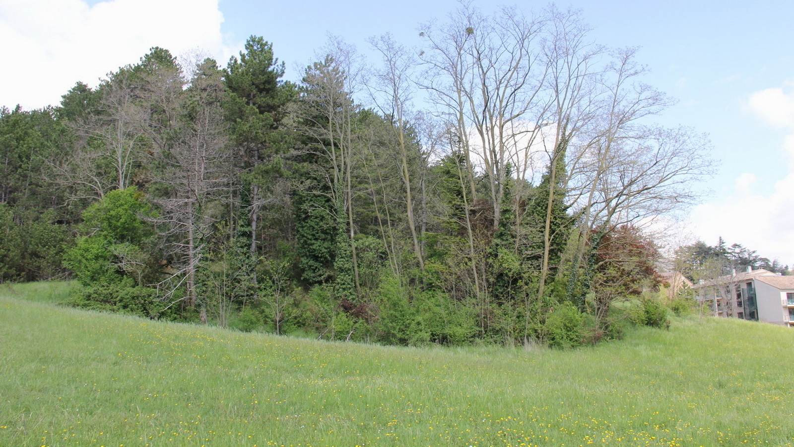 Rêve ou Réalité à Dieulefit... Oui bien sûr !!! No 112 