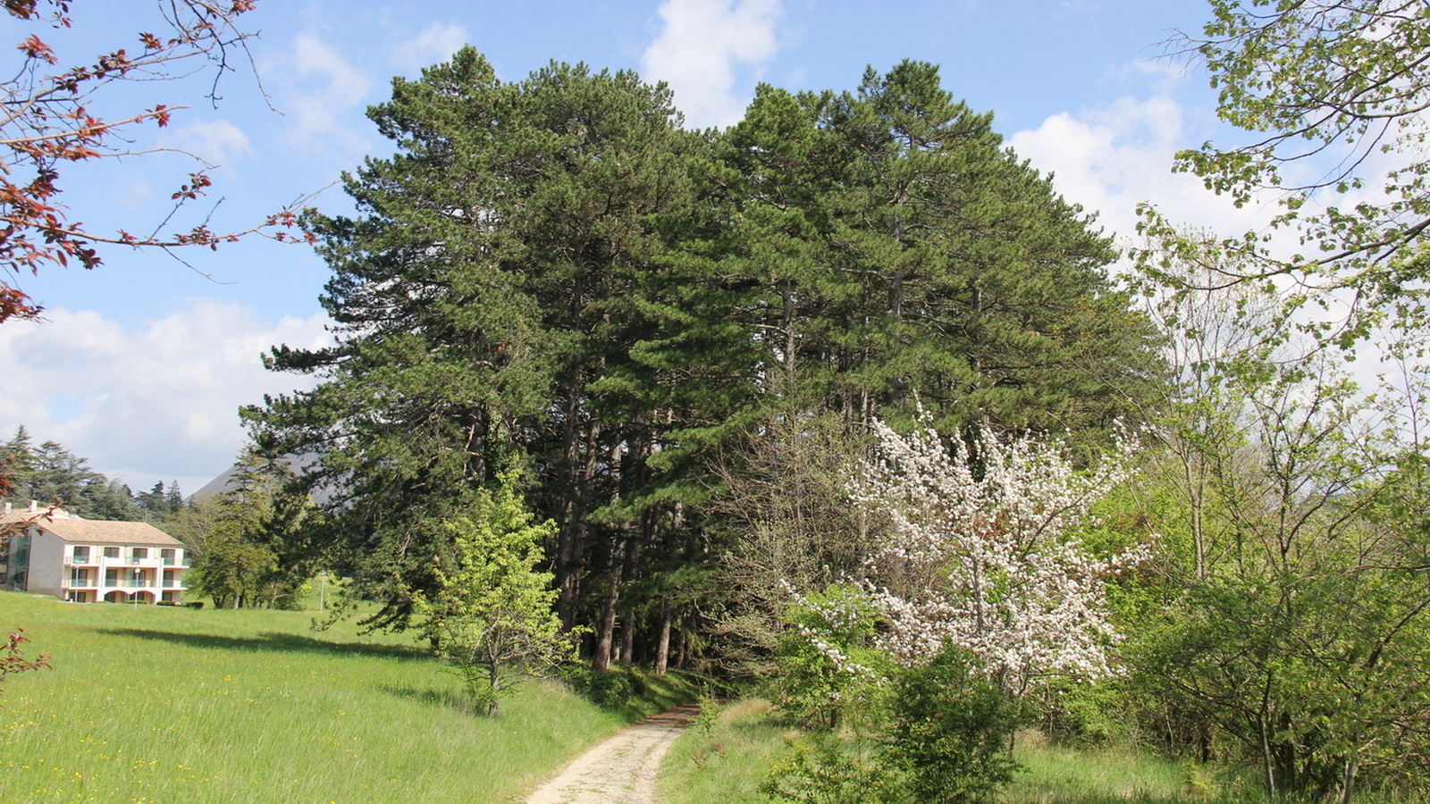 Rêve ou Réalité à Dieulefit... Oui bien sûr !!! No 115 