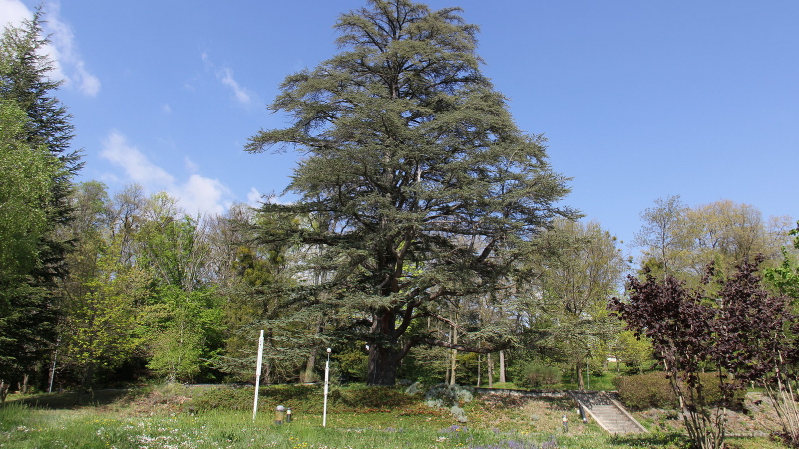 Rêve ou Réalité à Dieulefit... Oui bien sûr !!! No 129 