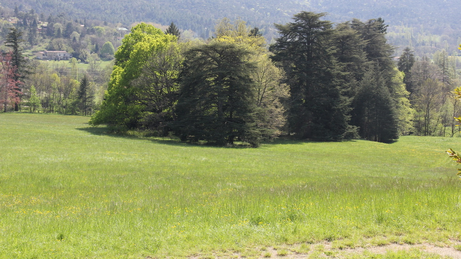 Rêve ou Réalité à Dieulefit... Oui bien sûr !!! No 133 