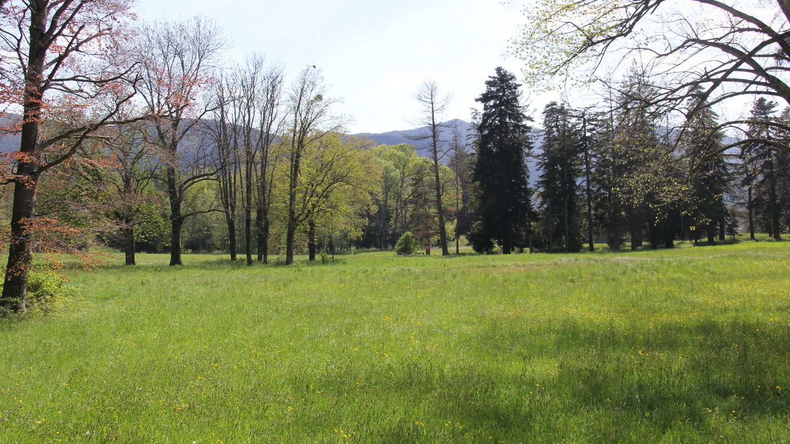 Rêve ou Réalité à Dieulefit... Oui bien sûr !!! No 134 