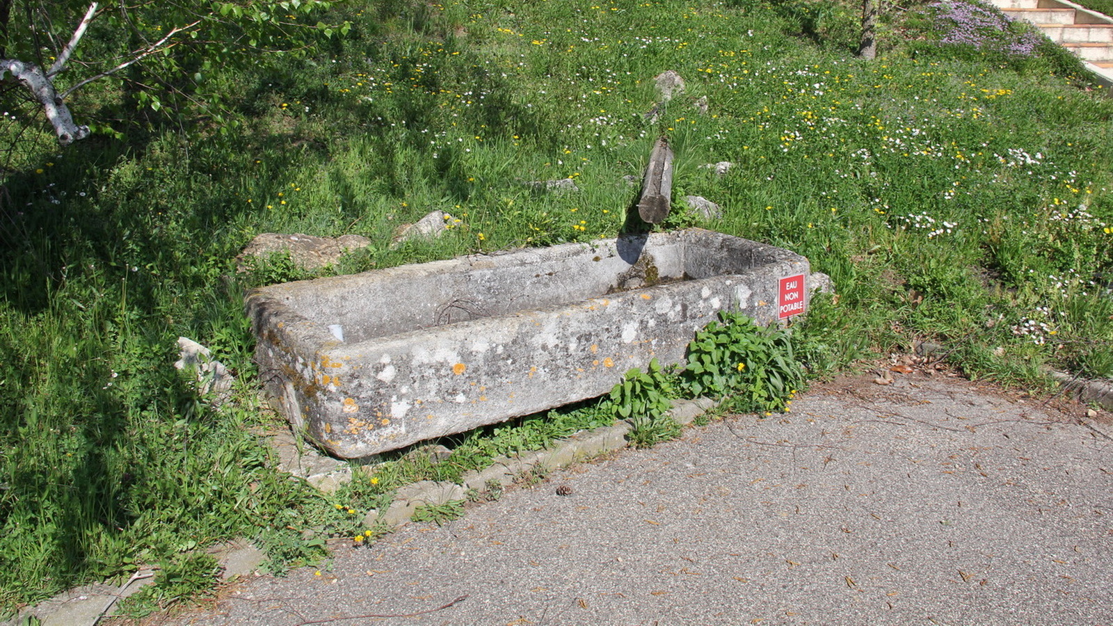 Rêve ou Réalité à Dieulefit... Oui bien sûr !!! No 157 