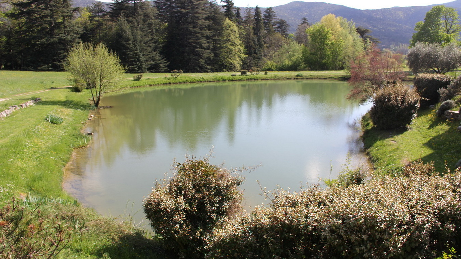 Rêve ou Réalité à Dieulefit... Oui bien sûr !!! No 1010 