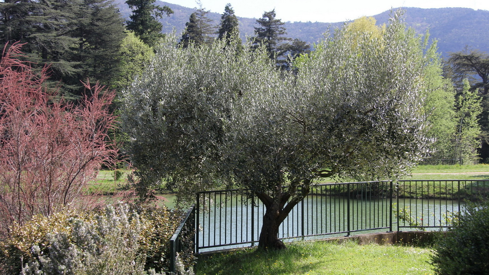 Rêve ou Réalité à Dieulefit... Oui bien sûr !!! No 164 