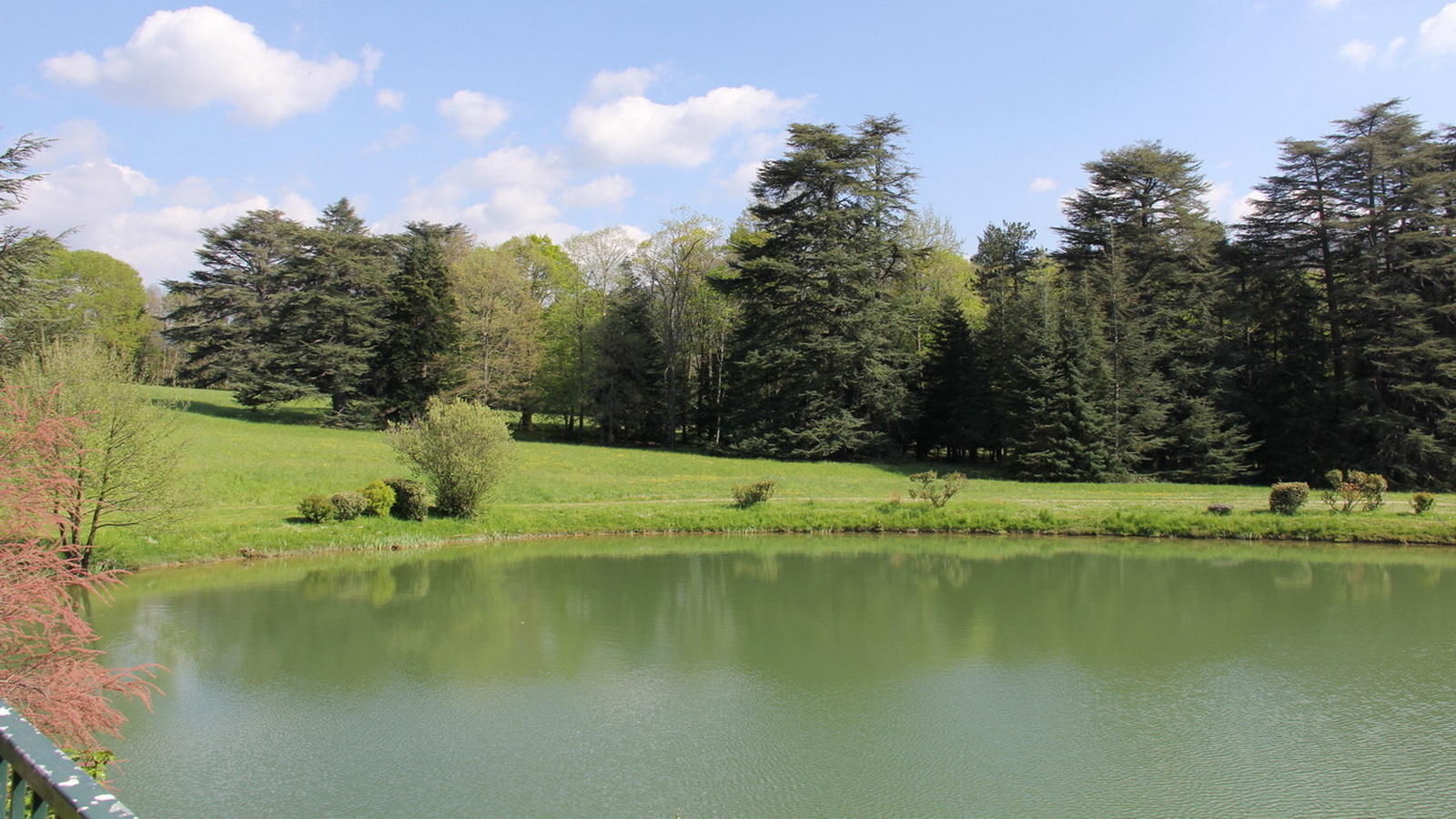 Rêve ou Réalité à Dieulefit... Oui bien sûr !!! No 166 