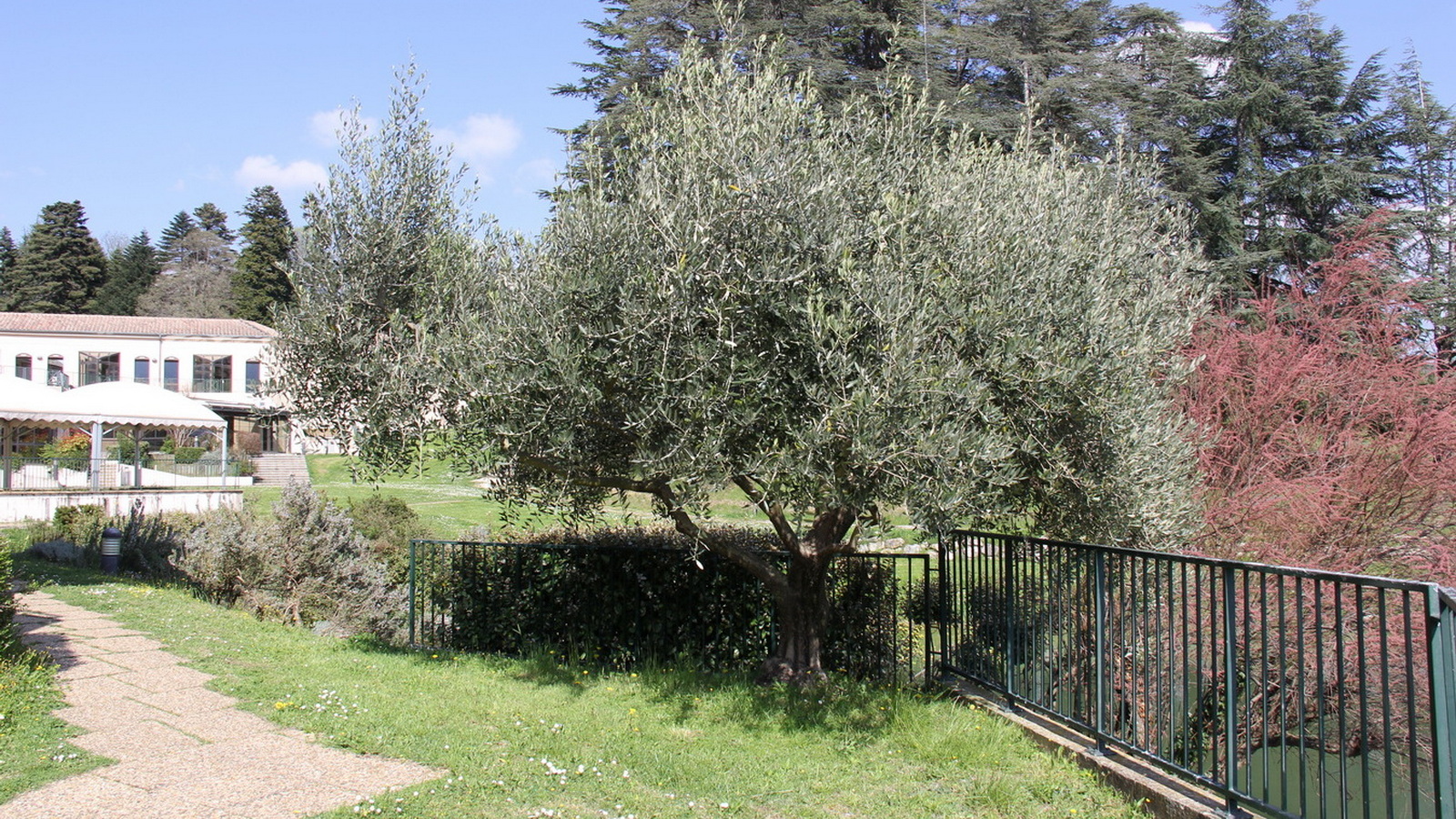 Rêve ou Réalité à Dieulefit... Oui bien sûr !!! No 167 