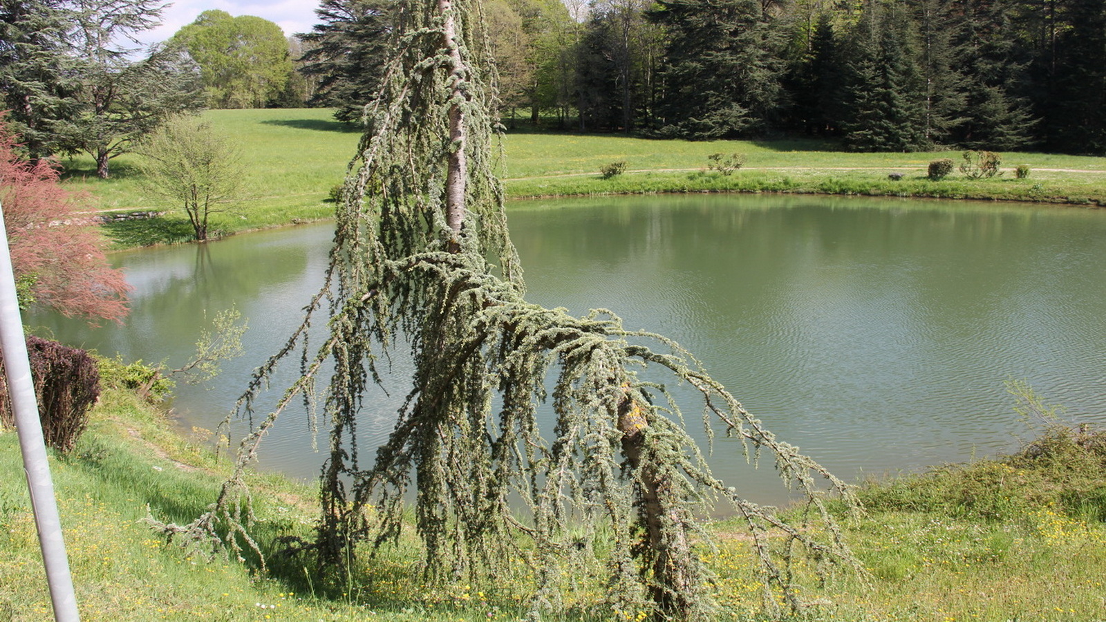 Rêve ou Réalité à Dieulefit... Oui bien sûr !!! No 169 