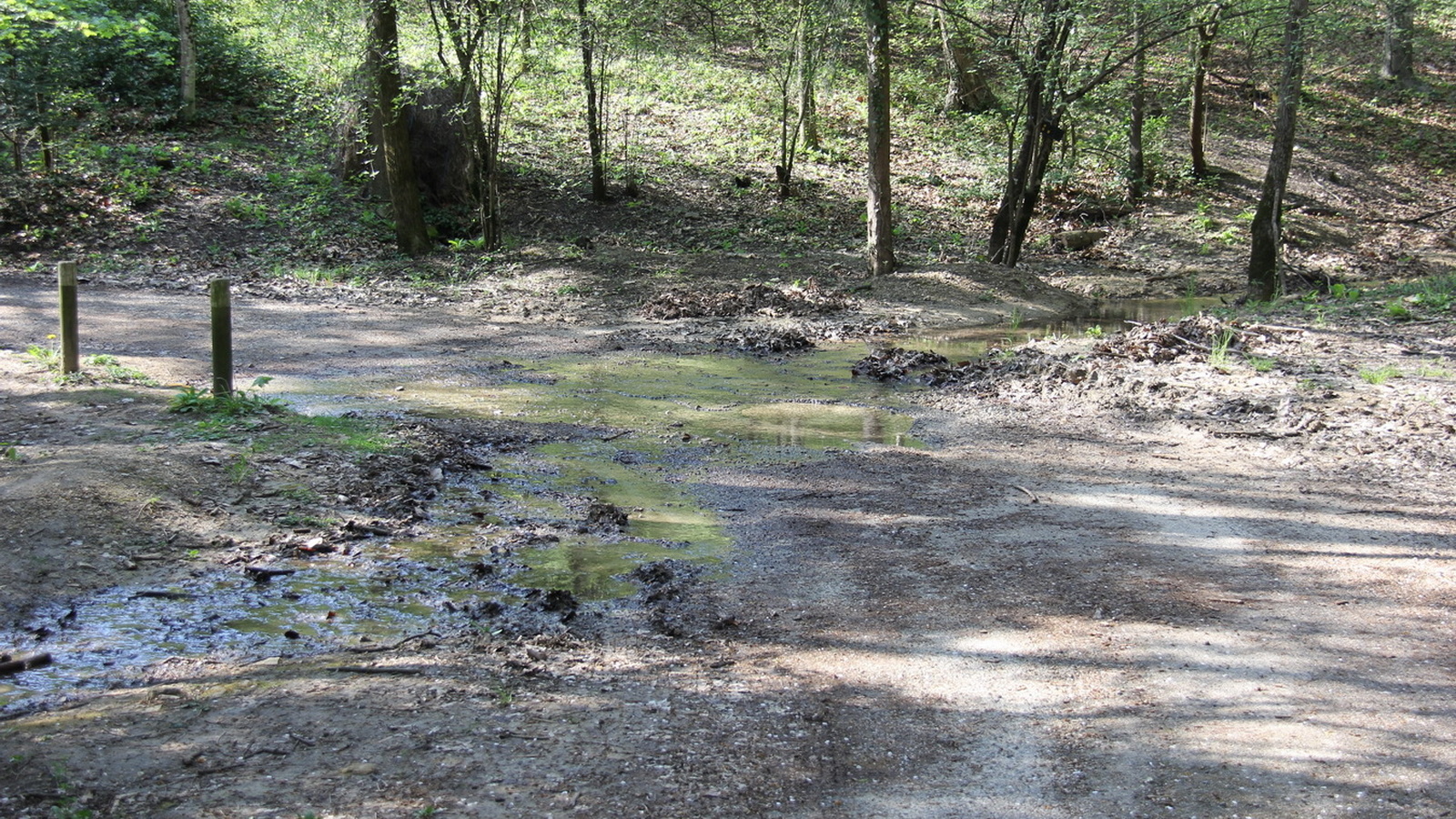 Rêve ou Réalité à Dieulefit... Oui bien sûr !!! No 172 