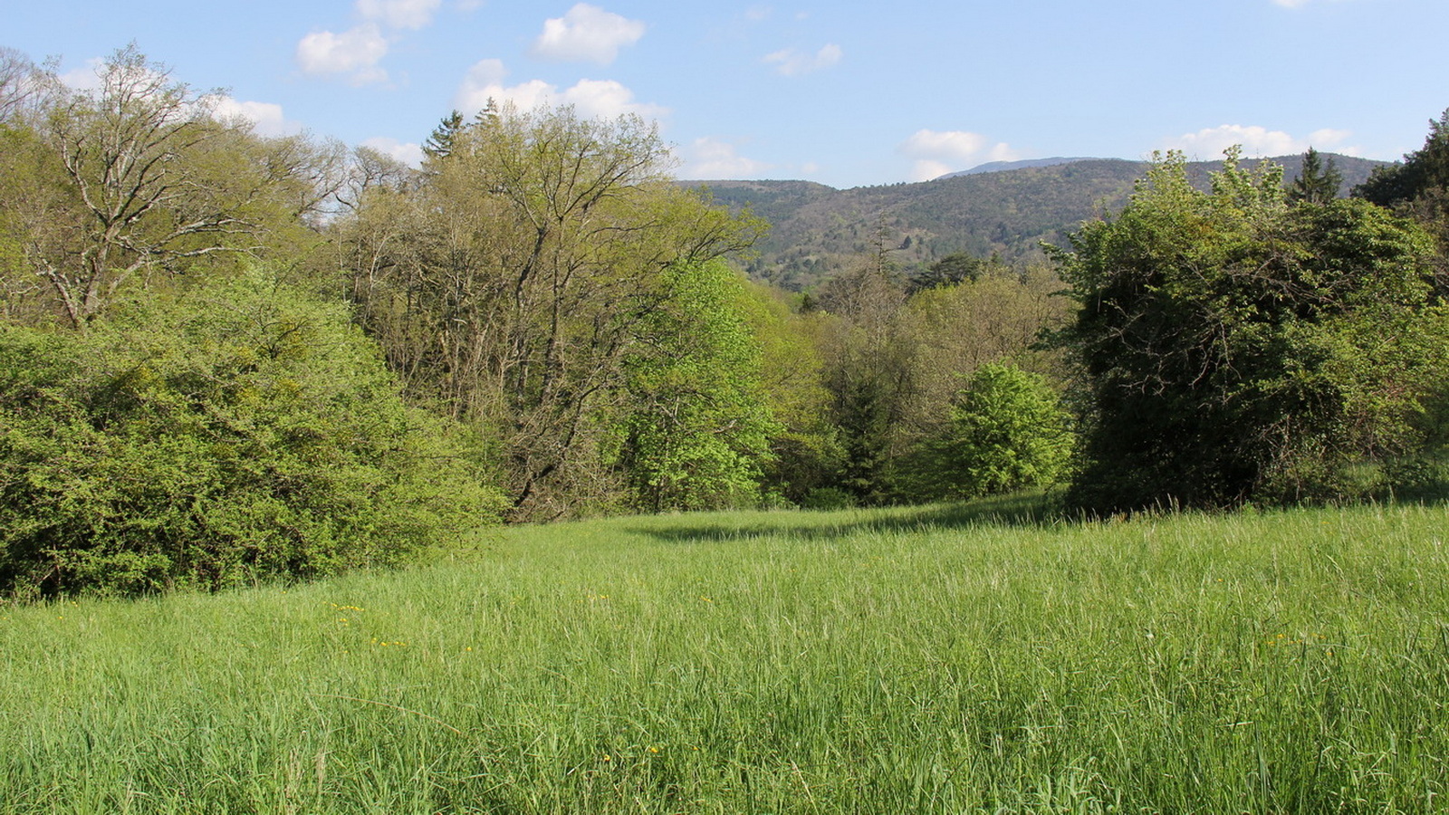 Rêve ou Réalité à Dieulefit... Oui bien sûr !!! No 177 