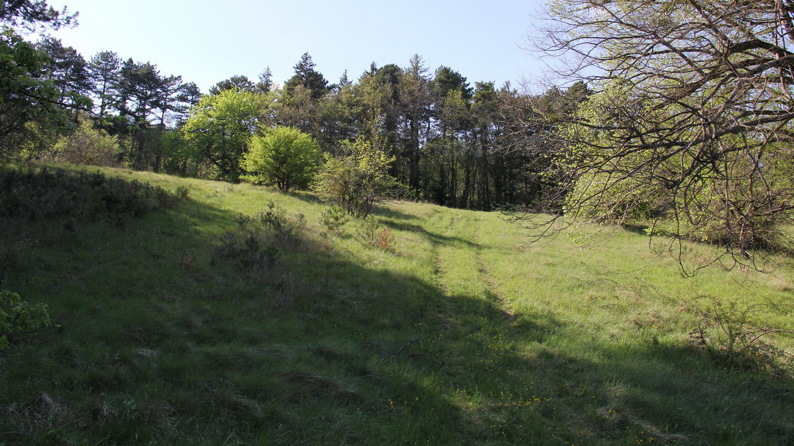 Rêve ou Réalité à Dieulefit... Oui bien sûr !!! No 179 