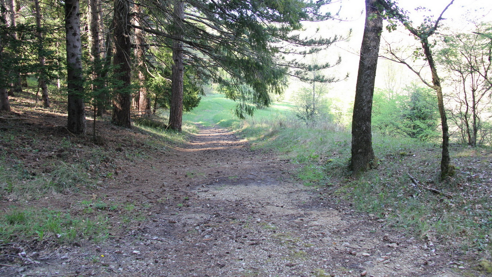 Rêve ou Réalité à Dieulefit... Oui bien sûr !!! No 184 