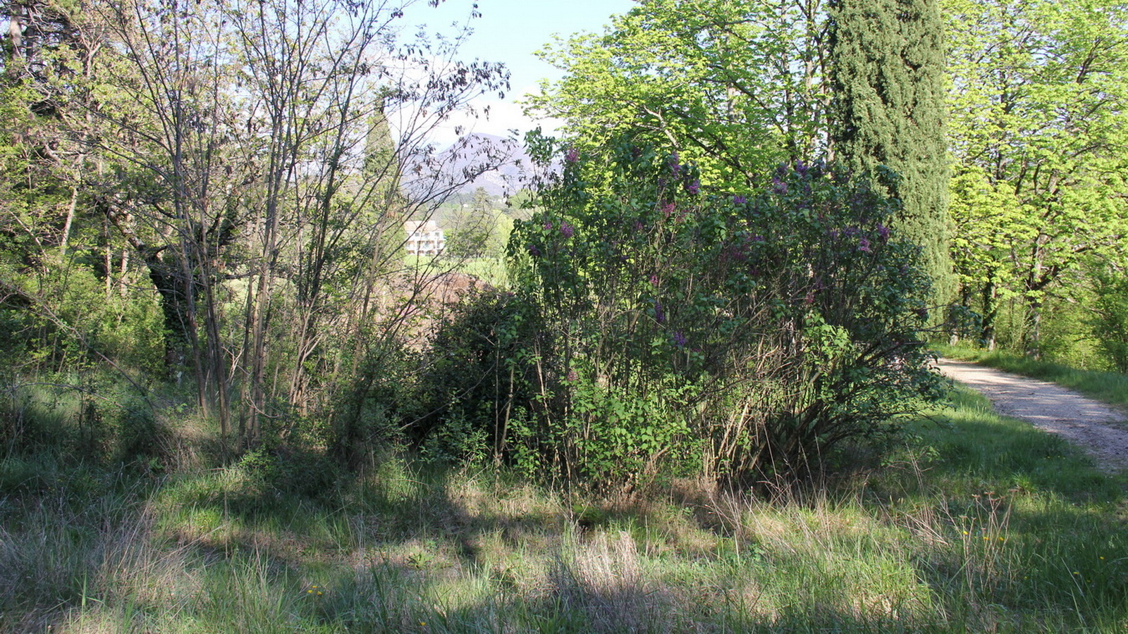 Rêve ou Réalité à Dieulefit... Oui bien sûr !!! No 185 