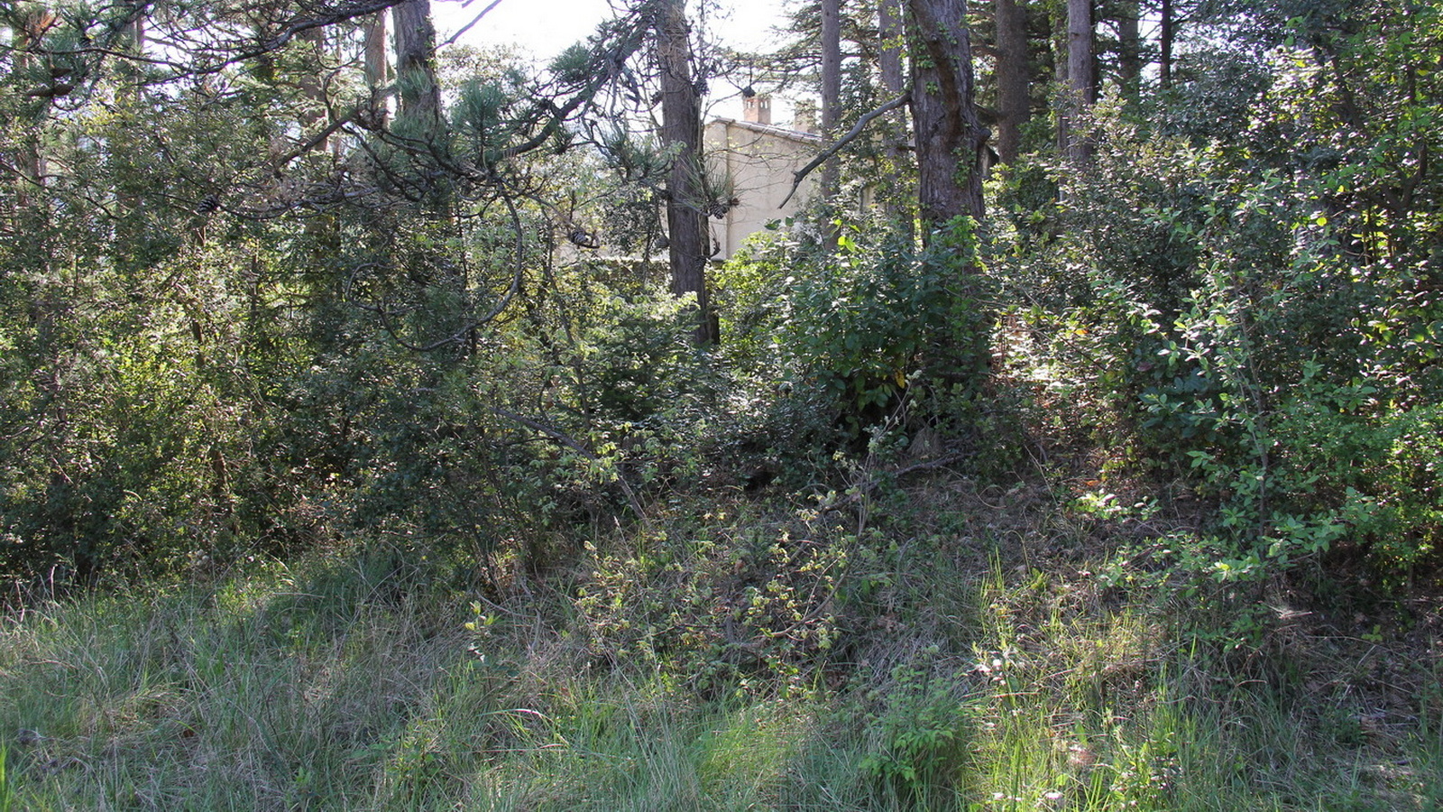 Rêve ou Réalité à Dieulefit... Oui bien sûr !!! No 186 