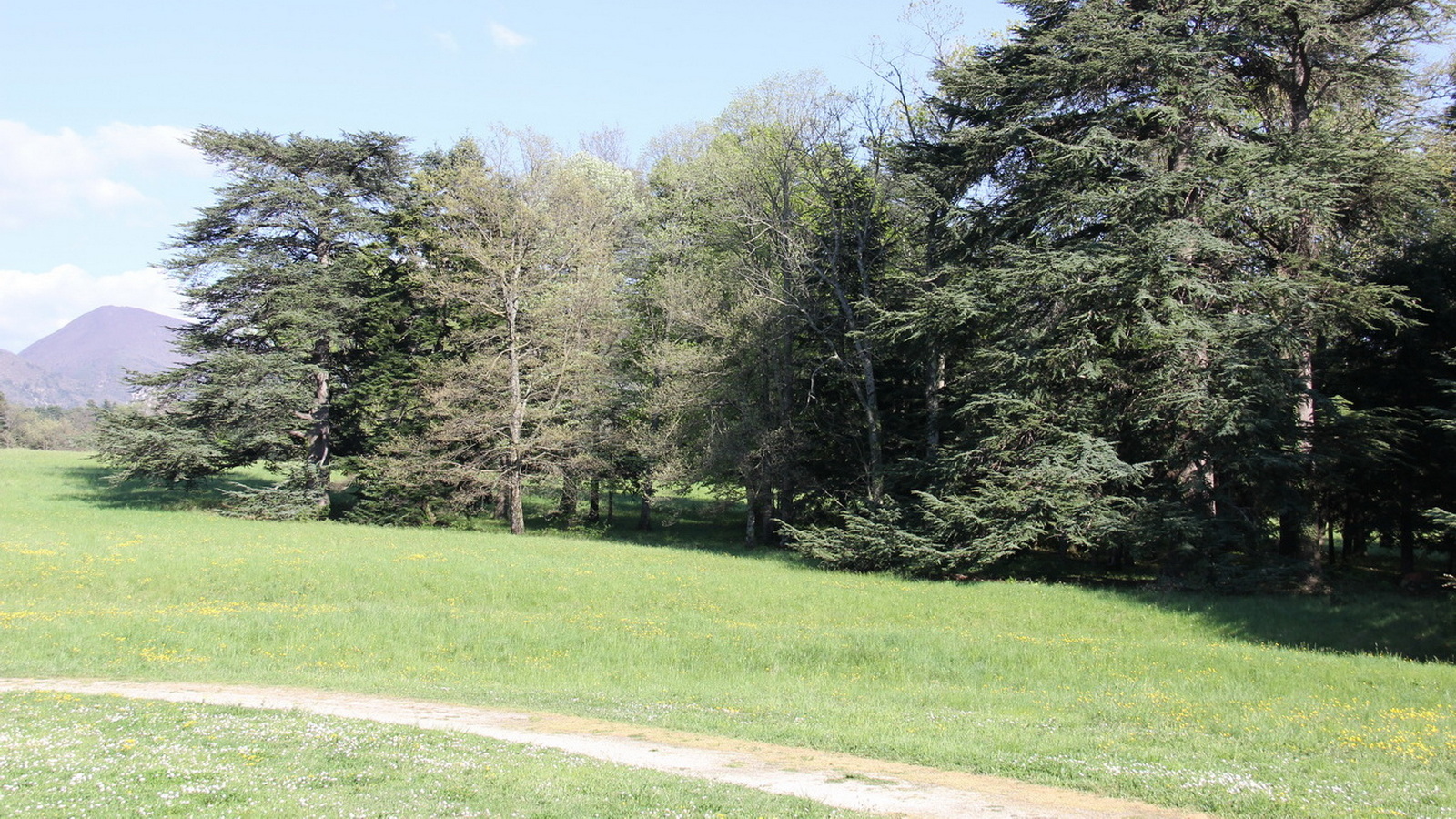 Rêve ou Réalité à Dieulefit... Oui bien sûr !!! No 192 