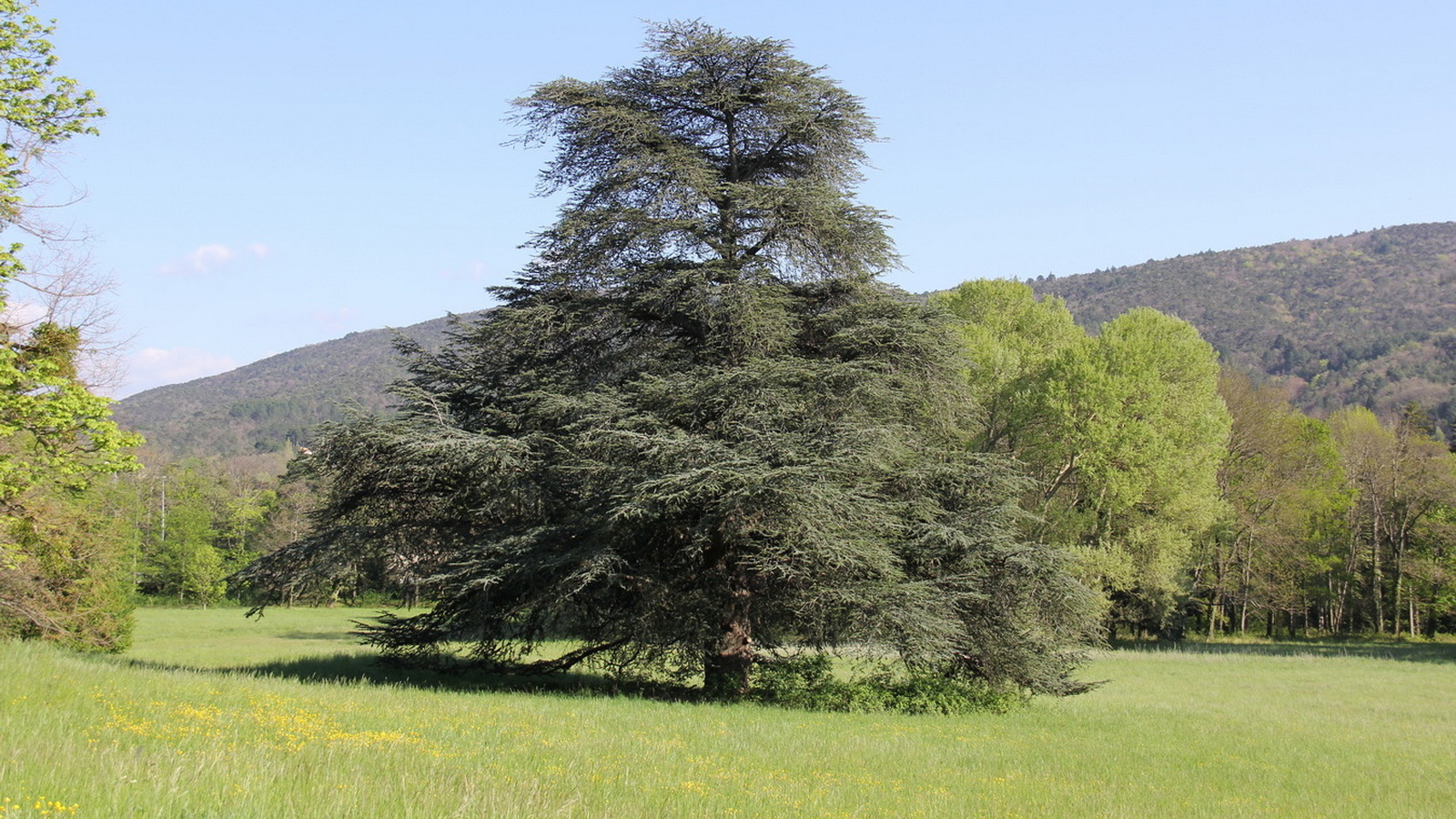 Cliquez sur la Photo pour quitter le Diaporama et Ouvrir la Photo correspondante...