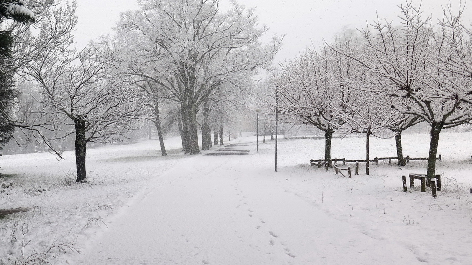 Rêve ou Réalité à Dieulefit... Oui bien sûr !!! No 206 